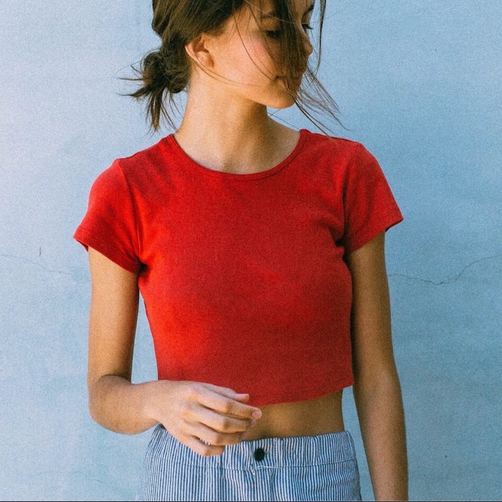Brandy Melville cropped tshirt